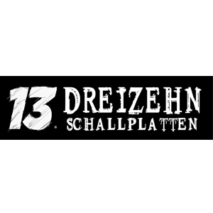 Dreizehn Schallplatten